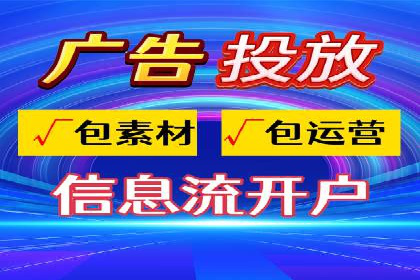 SEM代运营机构成功案例：优化策略与效果分析